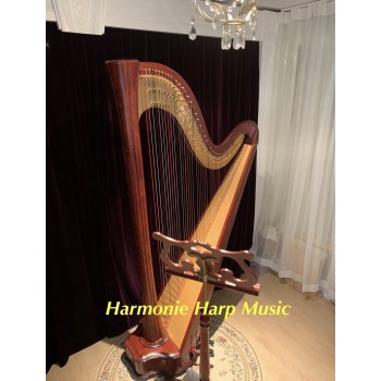 Harp Rental - Salvi Daphne 47S Harp Rental - Salvi Daphne 47S